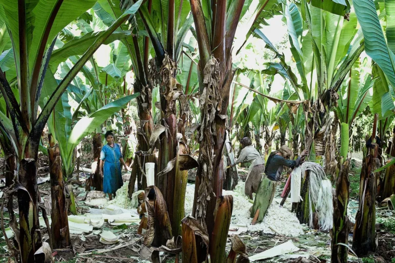 Land Grabbing A 0001